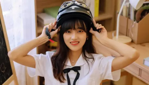 狸花猫司法拍卖