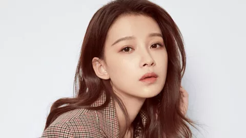 国家网络身份认证