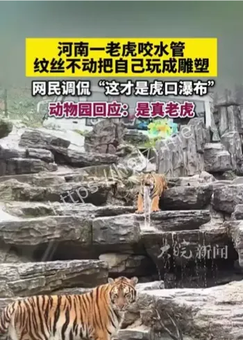 河南老虎咬水管虎口瀑布